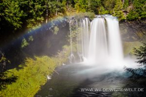 Koosah-Falls-McKenzie-River-Willamette-National-Forest-Oregon-12-300x200 Koosah Falls