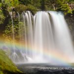 Koosah Falls - McKenzie River, Willamette National Forest, Oregon