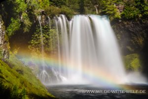 Koosah-Falls-McKenzie-River-Willamette-National-Forest-Oregon-300x200 Koosah Falls