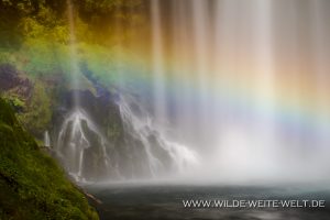 Koosah-Falls-McKenzie-River-Willamette-National-Forest-Oregon-6-300x200 Koosah Falls