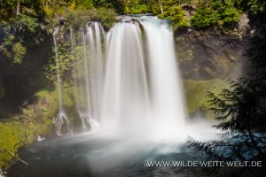 Koosah-Falls-McKenzie-River-Willamette-National-Forest-Oregon-7-300x200 Koosah Falls