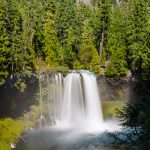 Koosah-Falls-McKenzie-River-Willamette-National-Forest-Oregon Koosah Falls [McKenzie River]