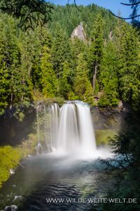 Koosah-Falls-McKenzie-River-Willamette-National-Forest-Oregon-8-200x300 Koosah Falls