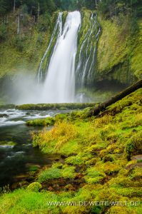 Lemolo-Falls-Umpqua-National-Forest-Oregon-10-199x300 Lemolo Falls