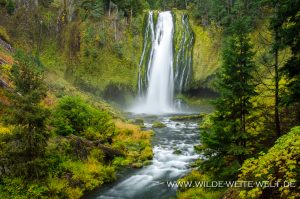 Lemolo-Falls-Umpqua-National-Forest-Oregon-2-300x199 Lemolo Falls