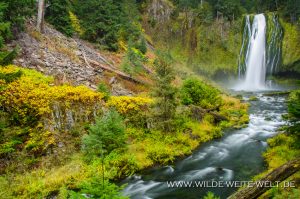 Lemolo-Falls-Umpqua-National-Forest-Oregon-3-300x199 Lemolo Falls