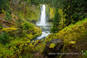 Lemolo-Falls-Umpqua-National-Forest-Oregon-4-300x199 Lemolo Falls