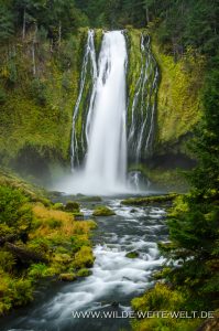 Lemolo-Falls-Umpqua-National-Forest-Oregon-7-199x300 Lemolo Falls