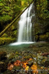 Lower-Parker-Falls-Row-River-Area-Umpqua-National-Forest-Oregon-4-200x300 Lower Parker Falls