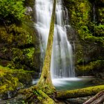 Lower-Parker-Falls-Row-River-Area-Umpqua-National-Forest-Oregon Parker Falls [Row River]