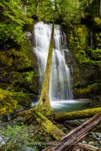 Lower-Parker-Falls-Row-River-Area-Umpqua-National-Forest-Oregon-6-200x300 Lower Parker Falls