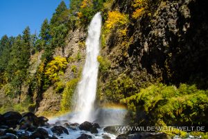 Mill-Creek-Falls-Rogue-River-Siskiyou-National-Forest-Prospect-Oregon-11-300x200 Mill Creek Falls