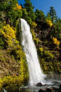 Mill-Creek-Falls-Rogue-River-Siskiyou-National-Forest-Prospect-Oregon-2-200x300 Mill Creek Falls