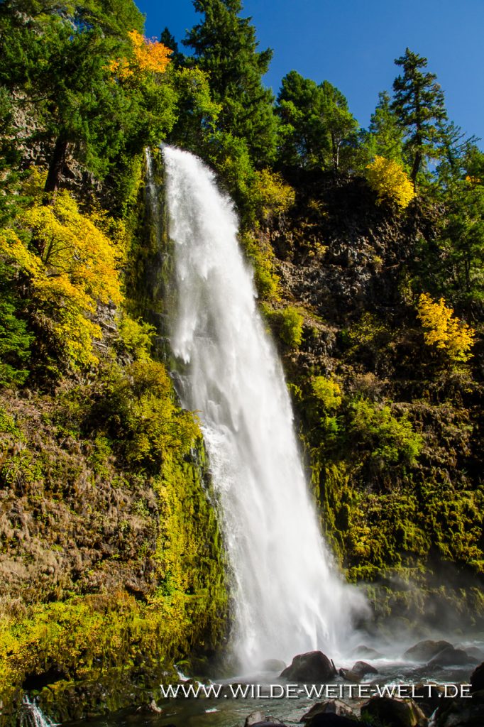 Mill-Creek-Falls-Rogue-River-Siskiyou-National-Forest-Prospect-Oregon-4 Mill Creek Falls [Rogue River]