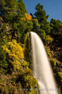 Mill-Creek-Falls-Rogue-River-Siskiyou-National-Forest-Prospect-Oregon-9-200x300 Mill Creek Falls