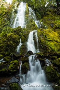 Moon-Falls-Row-River-Area-Umpqua-National-Forest-Oregon-11-200x300 Moon Falls