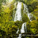 Moon-Falls-Row-River-Area-Umpqua-National-Forest-Oregon Moon Falls [Row River]