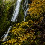 Moon-Falls-Row-River-Area-Umpqua-National-Forest-Oregon Moon Falls [Row River]