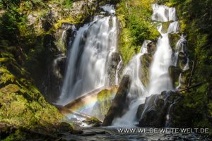 National-Creek-Falls-Rogue-River-Siskiyou-National-Forest-Oregon-2-300x200 National Creek Falls