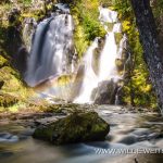 National-Creek-Falls-Rogue-River-Siskiyou-National-Forest-Oregon-2 National Creek Falls [Rogue River]