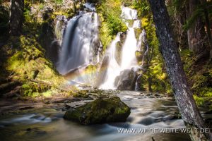 National-Creek-Falls-Rogue-River-Siskiyou-National-Forest-Oregon-3-300x200 National Creek Falls