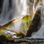 National-Creek-Falls-Rogue-River-Siskiyou-National-Forest-Oregon-2 National Creek Falls [Rogue River]