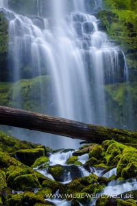 Proxy-Falls-Three-Sisters-Wilderness-Willamette-National-Forest-Oregon-13-200x300 Proxy Falls