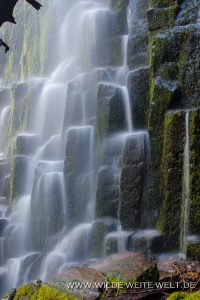 Proxy-Falls-Three-Sisters-Wilderness-Willamette-National-Forest-Oregon-16-200x300 Proxy Falls