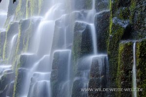 Proxy-Falls-Three-Sisters-Wilderness-Willamette-National-Forest-Oregon-17-300x200 Proxy Falls