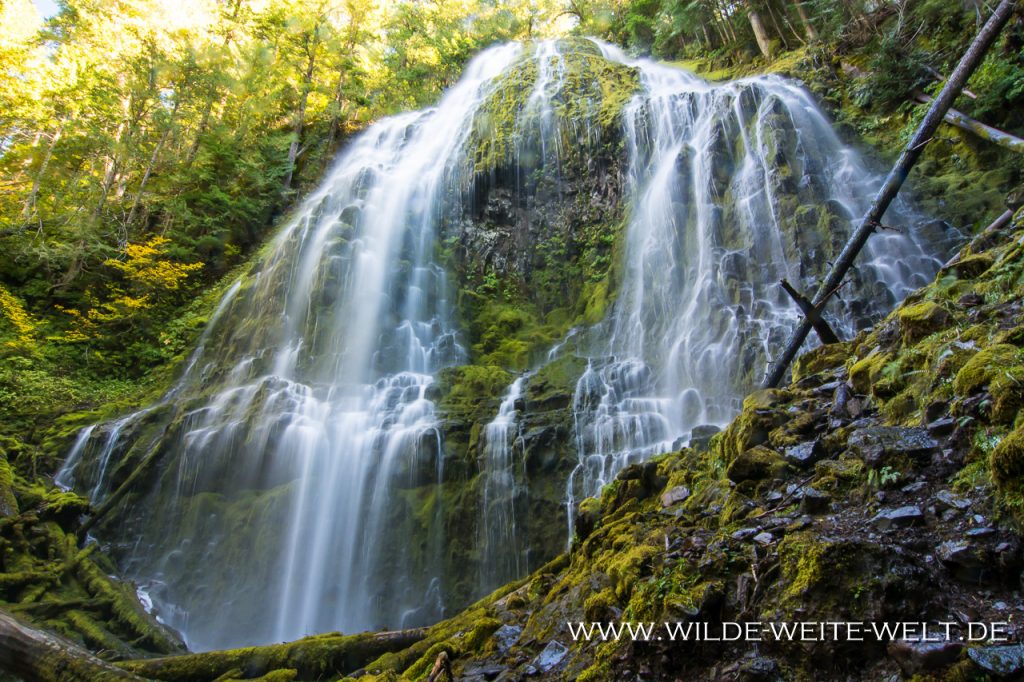 Proxy-Falls-Three-Sisters-Wilderness-Willamette-National-Forest-Oregon-7 Proxy Falls [McKenzie River]
