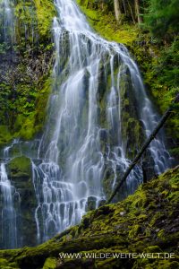 Proxy-Falls-Three-Sisters-Wilderness-Willamette-National-Forest-Oregon-200x300 Proxy Falls