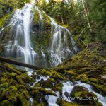 Proxy-Falls-Three-Sisters-Wilderness-Willamette-National-Forest-Oregon-7 Proxy Falls [McKenzie River]