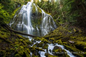 Proxy-Falls-Three-Sisters-Wilderness-Willamette-National-Forest-Oregon-3-300x200 Proxy Falls
