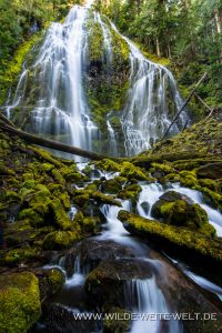 Proxy-Falls-Three-Sisters-Wilderness-Willamette-National-Forest-Oregon-4-200x300 Proxy Falls