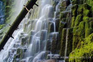 Proxy-Falls-Three-Sisters-Wilderness-Willamette-National-Forest-Oregon-5-300x200 Proxy Falls