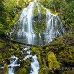Proxy Falls - Three Sisters Wilderness, Willamette National Forest, Oregon