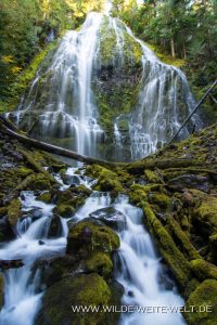 Proxy-Falls-Three-Sisters-Wilderness-Willamette-National-Forest-Oregon-8-200x300 Proxy Falls