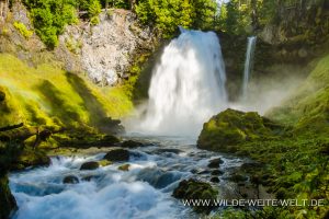 Sahalie-Falls-McKenzie-River-Willamette-National-Forest-Oregon-11-300x200 Sahalie Falls