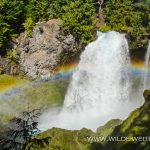 Sahalie-Falls-McKenzie-River-Willamette-National-Forest-Oregon-2 Sahalie Falls [McKenzie River]