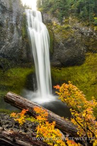 Salt-Creek-Falls-Willamette-National-Forest-Oregon-2-200x300 Salt Creek Falls
