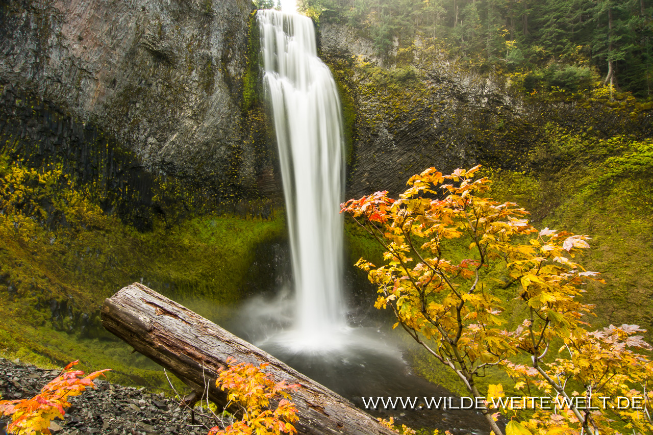 Salt Creek Falls - Willamette National Forest, Oregon