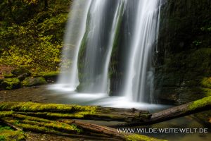 Spirit-Falls-Row-River-Area-Umpqua-National-Forest-Oregon-13-300x200 Spirit Falls
