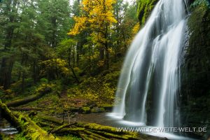 Spirit-Falls-Row-River-Area-Umpqua-National-Forest-Oregon-14-300x200 Spirit Falls