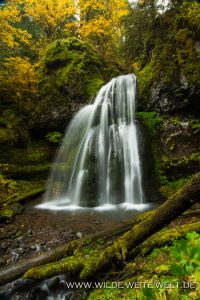 Spirit-Falls-Row-River-Area-Umpqua-National-Forest-Oregon-21-200x300 Spirit Falls