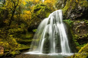 Spirit-Falls-Row-River-Area-Umpqua-National-Forest-Oregon-4-300x200 Spirit Falls