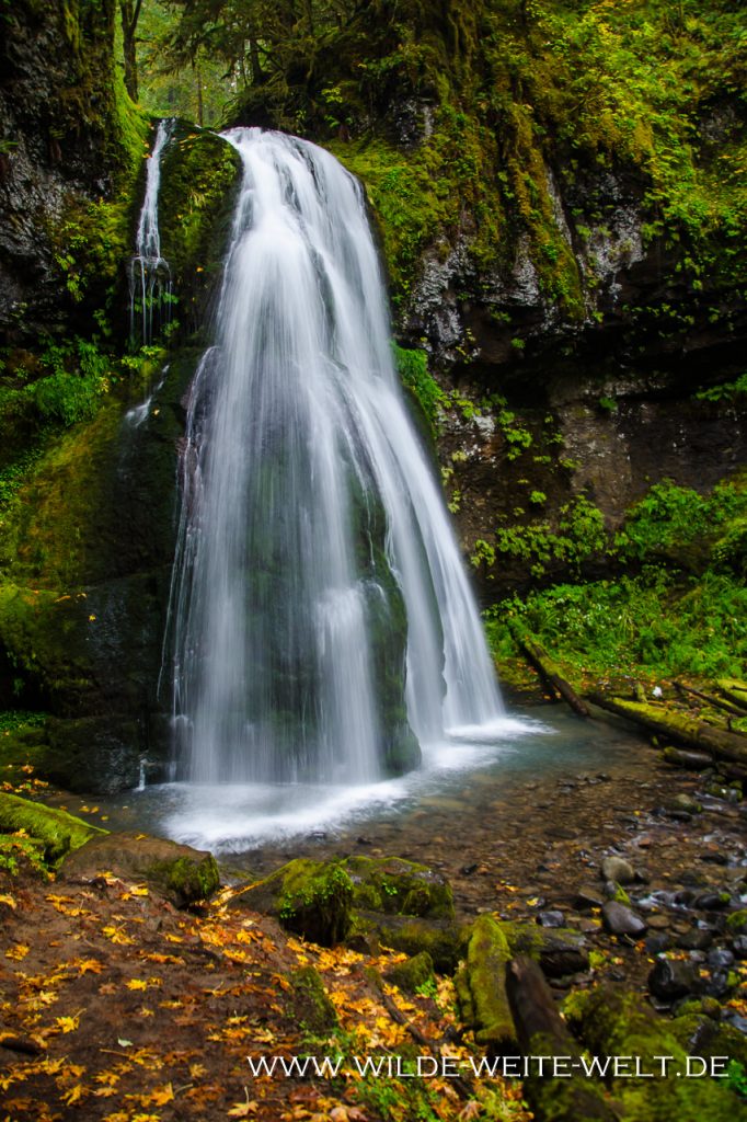Spirit-Falls-Row-River-Area-Umpqua-National-Forest-Oregon-4 Spirit Falls [Row River]