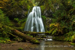 Spirit-Falls-Row-River-Area-Umpqua-National-Forest-Oregon-8-300x200 Spirit Falls