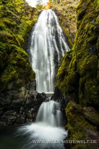 Susan-Creek-Falls-Umpqua-National-Forest-Oregon-199x300 Susan Creek Falls