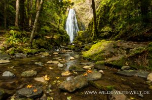 Susan-Creek-Falls-Umpqua-National-Forest-Oregon-5-300x199 Susan Creek Falls