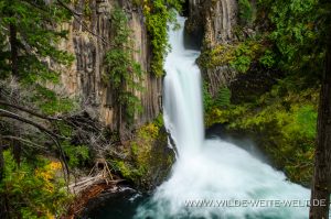 Toketee-Falls-Umpqua-National-Forest-Oregon-6-300x199 Toketee Falls